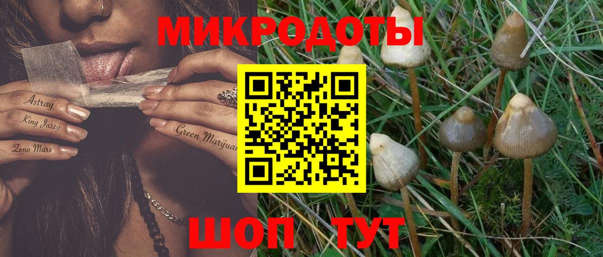 Галлюциногенные грибы мухоморы Чапаевск